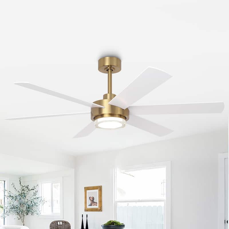 Parrot Uncle 54" Gold Plywood Modern Dimmable Ceiling Fan with Light and Remote