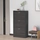 preview thumbnail 9 of 15, 23.6"W Trendy Shoe Storage Cabinet with 3 Large Fold-Out Drawers Black