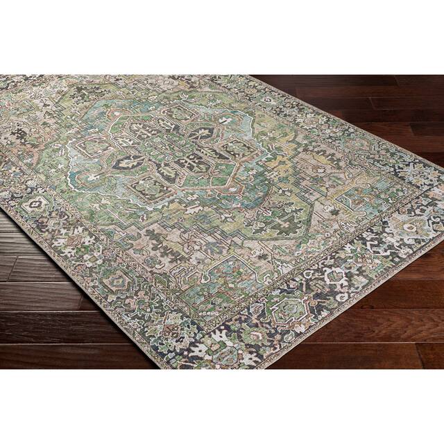 Adenia Vintage Medallion Printed Area Rug