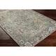 Adenia Vintage Medallion Printed Area Rug