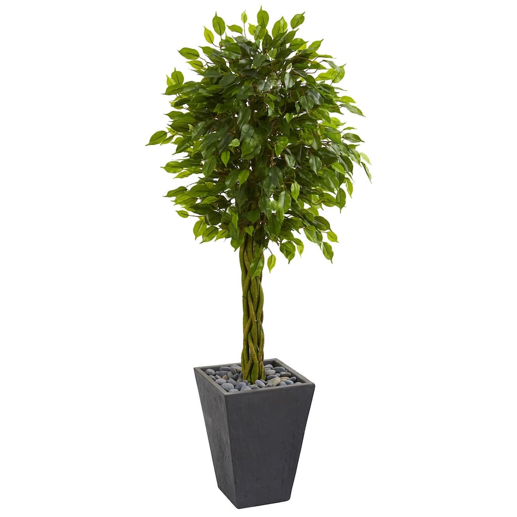 5ft Braided Ficus Artificial Tree in Slate Planter with UV Resistant Green Foliage and Braided Trunk for Indoor Use