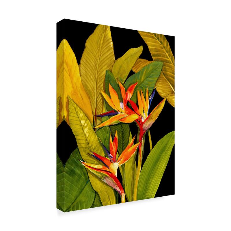 Tim Otoole 'Dramatic Bird Of Paradise' Canvas Art