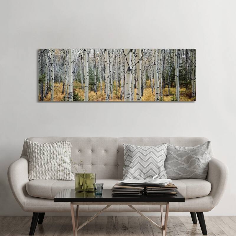 iCanvas "Aspen Trees in a Forest Alberta, Canada" by Panoramic Images Canvas Print