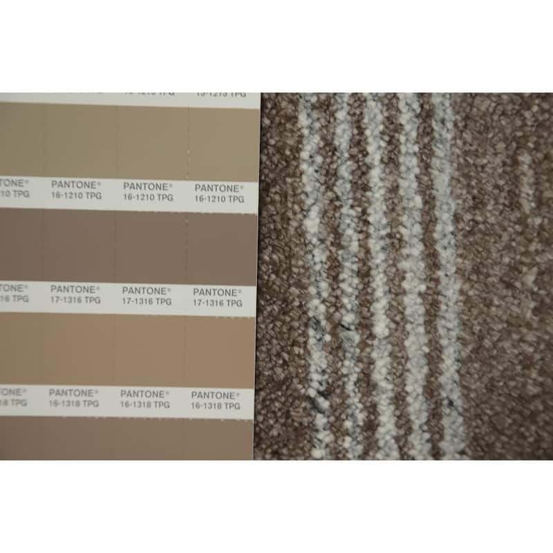 Hand Knotted Oriental 100% Wool Carpet Tribal Animal Pictorial Beige & Ivories Gabbeh Area Rug - 7' 8'' X 5' 4''
