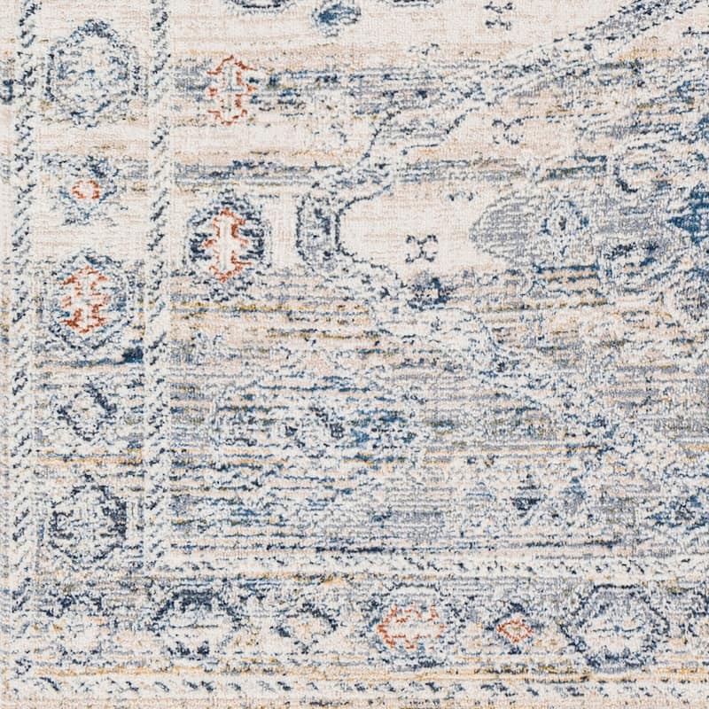 Livabliss Kambiz Vintage Traditional Area Rug