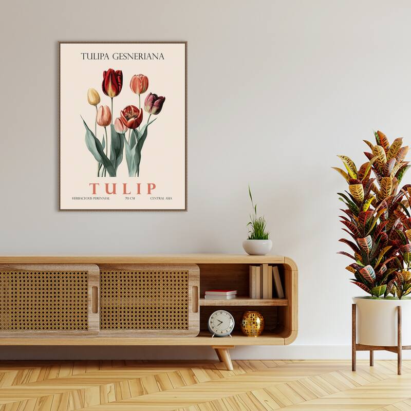 Vintage Botanical Tulip Illustration by Christopher Giampietro Framed Canvas Wall Art Print