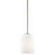 Option Brushed Nickel