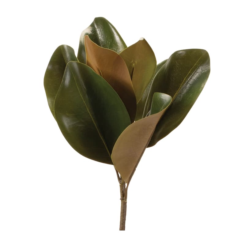 Magnolia Leaf Spray (Set of 6) - N/A