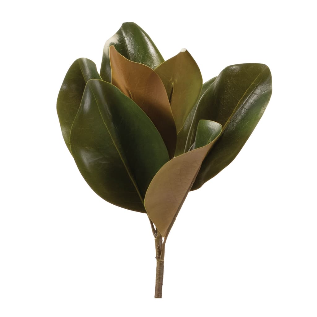 Magnolia Leaf Spray (Set of 6) - N/A