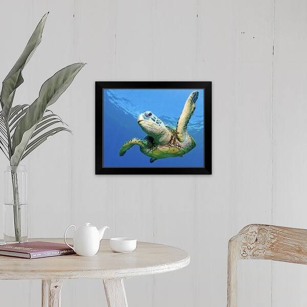 Shop Hawaiian Sea Turtle Maui Hawaii Us Black Framed Print Free Shipping Today Overstock 30203754