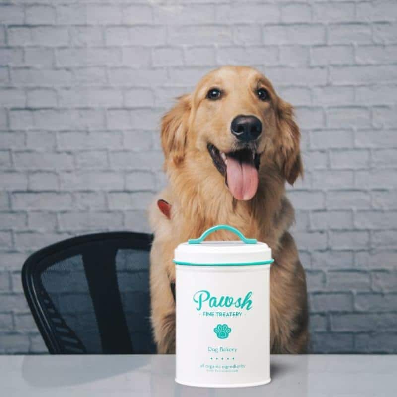 Amici Pet Pawsh Mint Fine Treatery Storage Canister - 44 oz