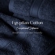 preview thumbnail 152 of 197, Superior Egyptian Cotton 6 Piece Towel Set Ultra Plush & Absorbent Bath, Hand & Face Towels, Heavyweight Spa Quality
