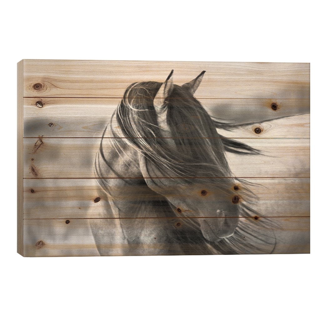 Fierce Grace Print On Wood by Tony Stromberg - Multi-Color