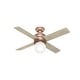 preview thumbnail 20 of 23, Hunter 44" Hepburn Ceiling Fan with LED Light Kit and Wall Control, Vintage, Transitional, Contemporary
