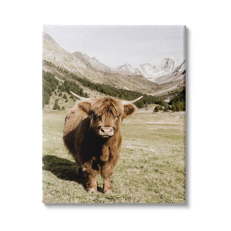 Stupell Countryside Highland Cattle Distant Mountain Longhorn Photograph Canvas Wall Art - Green - 36 x 48