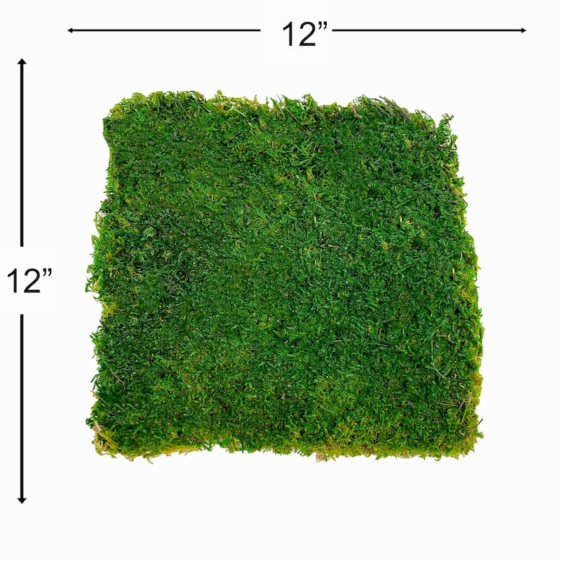 Green Flat sheet Moss 2 sq feet - 12x12