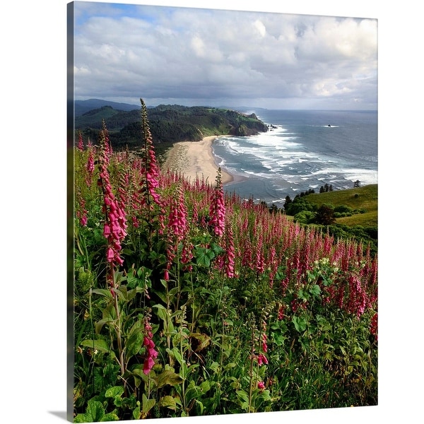 "Foxgloves at Cascade Head, The Nature Conservancy, Tillamook County, Oregon" Canvas Wall Art