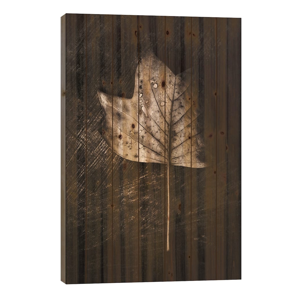 Dark Leaves Print On Wood by Philippe Sainte-Laudy - Multi-Color