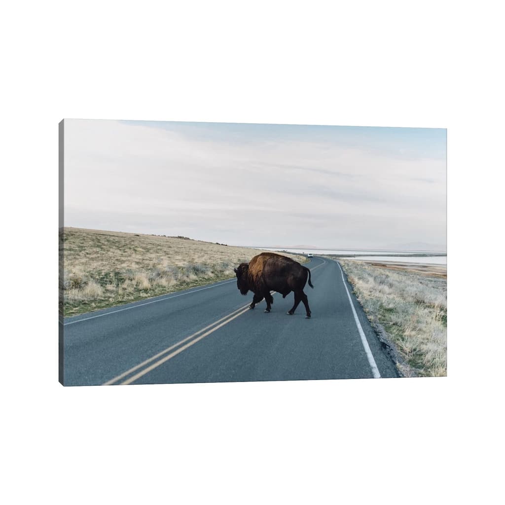 iCanvas "Buffalo Bison" by Chelsea Victoria Canvas Print
