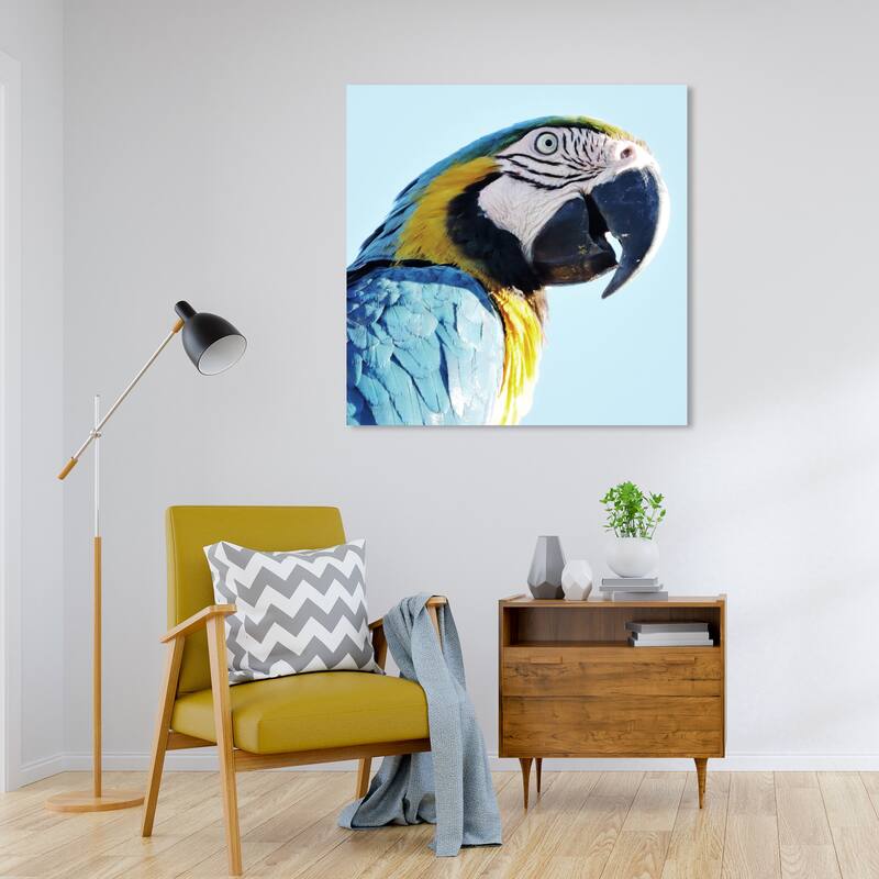 Wynwood Studio Canvas Animals Macaw Blue and Light Blue Tropical Wall Art Canvas Print - 30 x 30