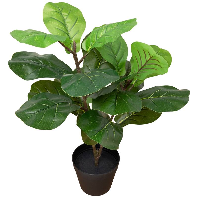 Two-Tone Fiddle Leaf Fig Artificial Potted Plant - 26" - Green