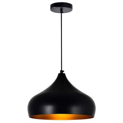 Dynamic 16 Inch 1 Light Down Pendant With Black Finish