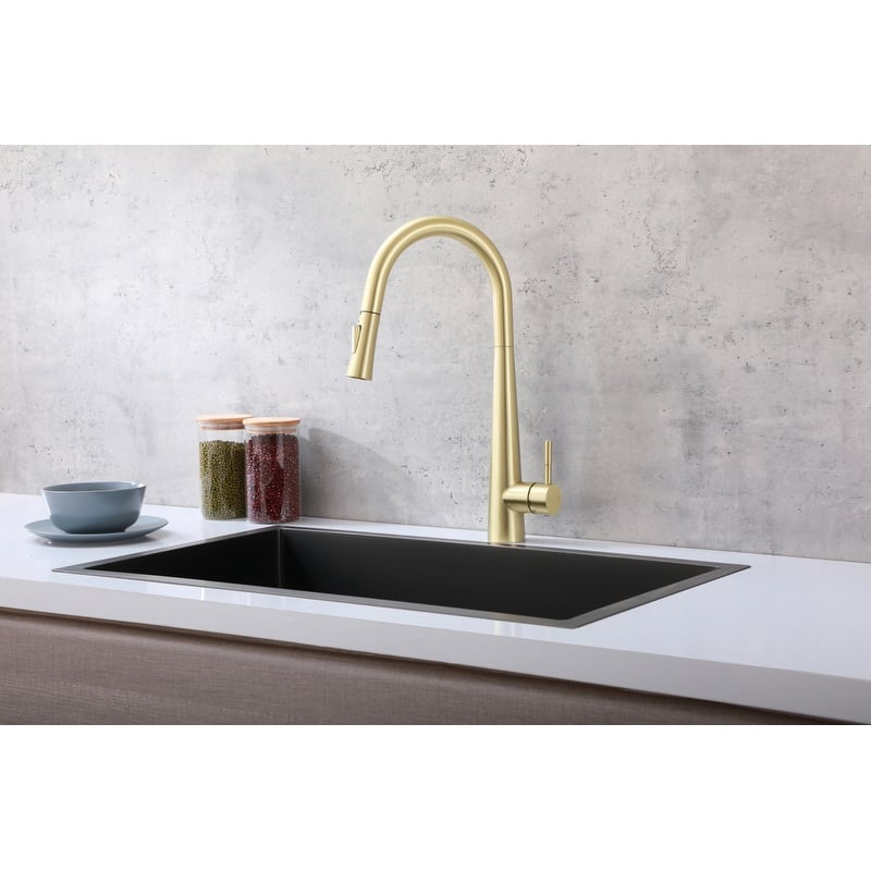 Indigo Home Single Handle Pull Down Sprayer Kitchen Faucet