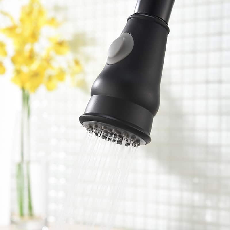 Single Handle Pull Down Kitchen Faucet