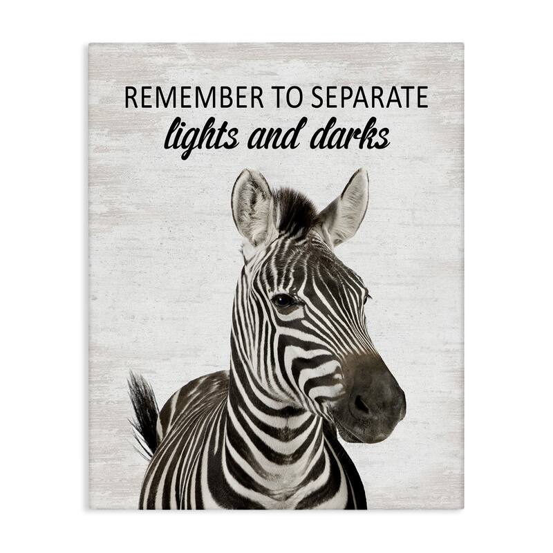 Stupell Remember To Separate Laundry Canvas Wall Art Design By Lettered and Lined - 16 x 20