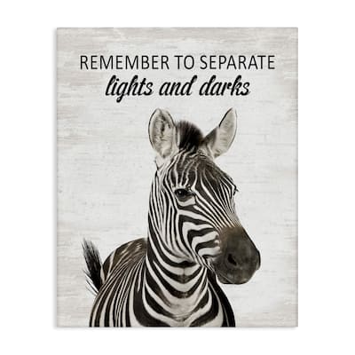 Stupell Remember To Separate Laundry Canvas Wall Art Design By Lettered and Lined