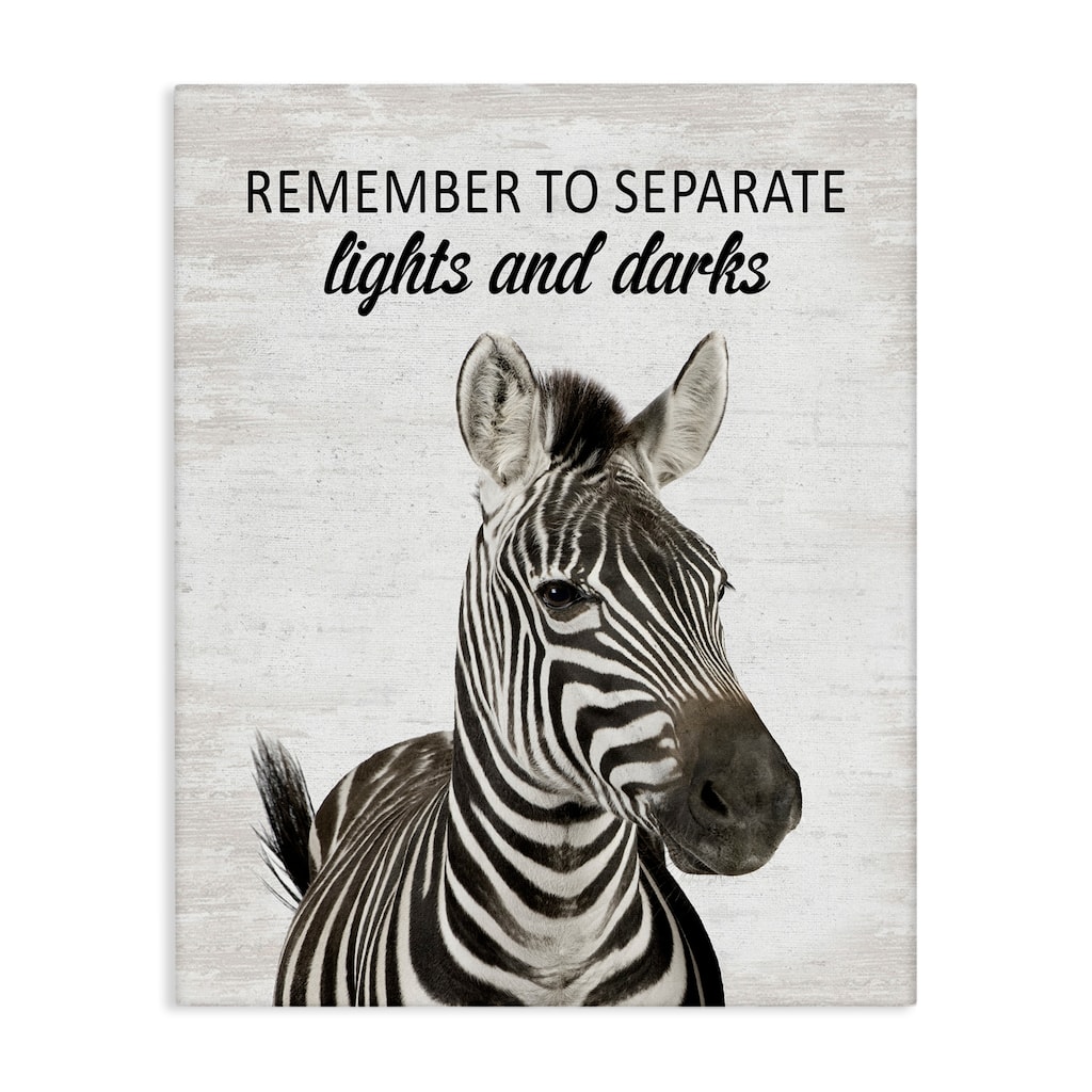 Stupell Remember To Separate Laundry Canvas Wall Art Design By Lettered and Lined