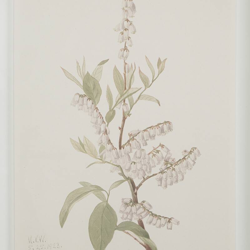 Renwil Crema 13.25" Wide Wall Decor, Printed Artwork