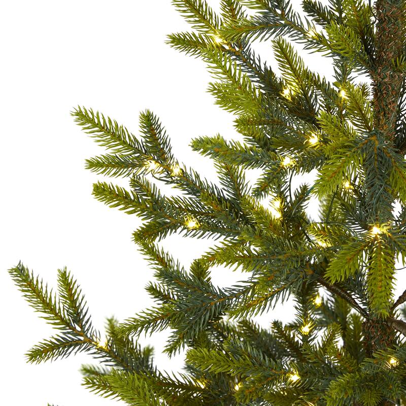 6' Fraser Fir "Natural Look" Christmas Tree with 250 Clear LED Lights - Green