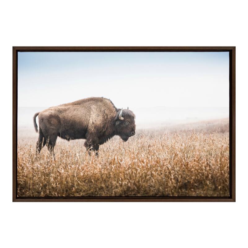 Kate and Laurel Sylvie Buffalo Grass Framed Canvas by Warren Metcalf