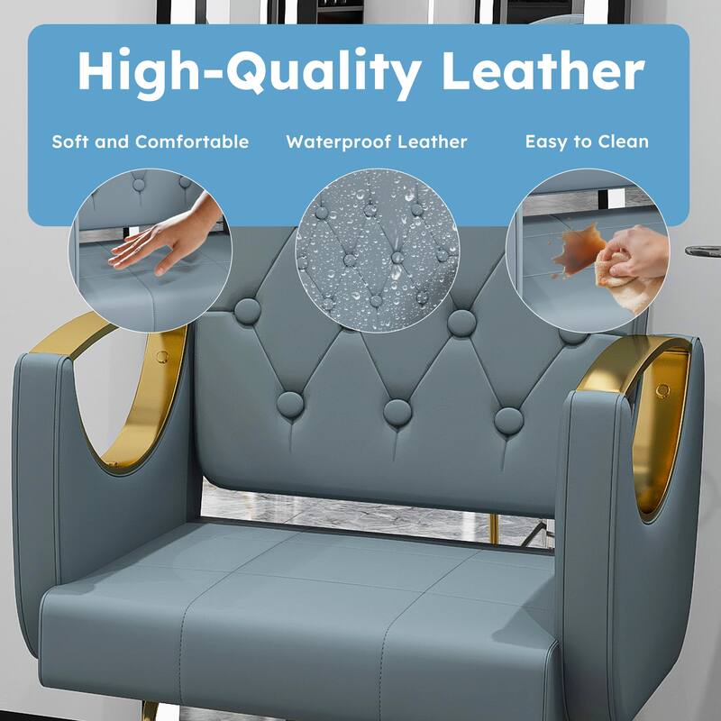 Roomfitters Professional Hydraulic Salon Chair with 360° Swivel, Heavy Duty Barber Stylist Chair with Gold Base