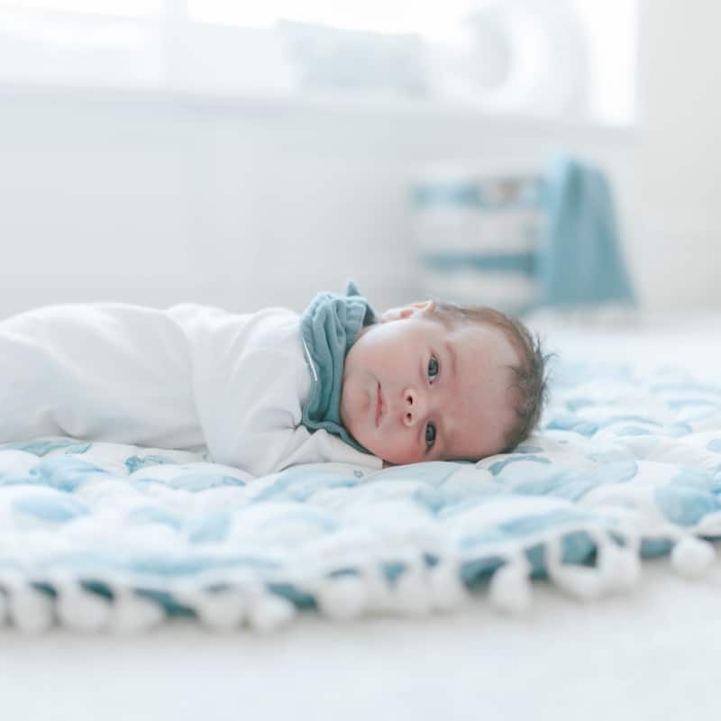 Crane Baby Playmat - 3'x3'
