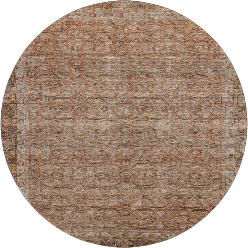 Premium Washable Super Soft Vintage Traditional Mayfield Rug