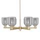 Option Champagne Bronze / Light Smoke