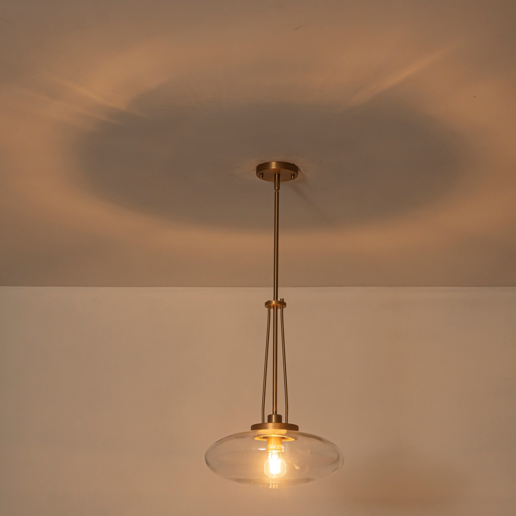 1-Light Matte Black/Brushed Brass Industrial Modern Glass Pendant Light with Swivel Head for Dining Bar & Bedroom