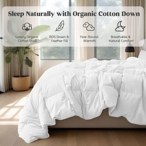 All Season 100% Organic Cotton Down Breathable Duvet Insert Medium Warmth Comforter - Full-Queen (88"x90") - White