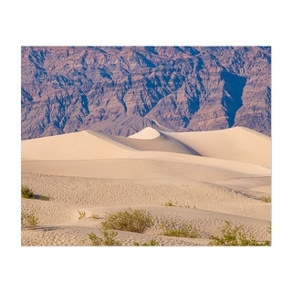 Mesquite Flat Sand Dunes Death Valley California Art Print/Poster - Bed ...