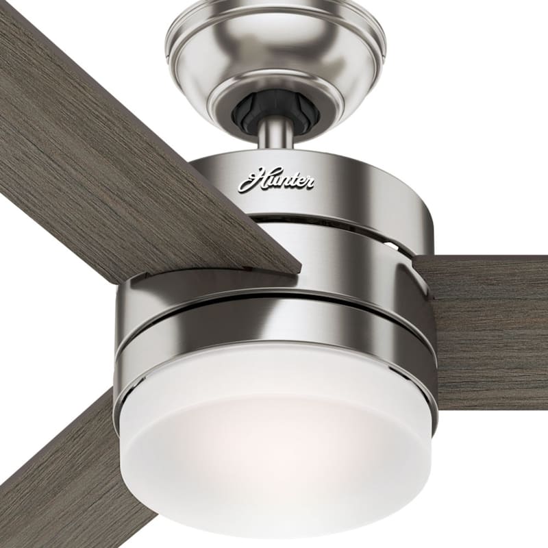 Hunter 54" Exeter Ceiling Fan with LED Light Kit and Remote Control