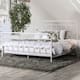 Option Vintage White