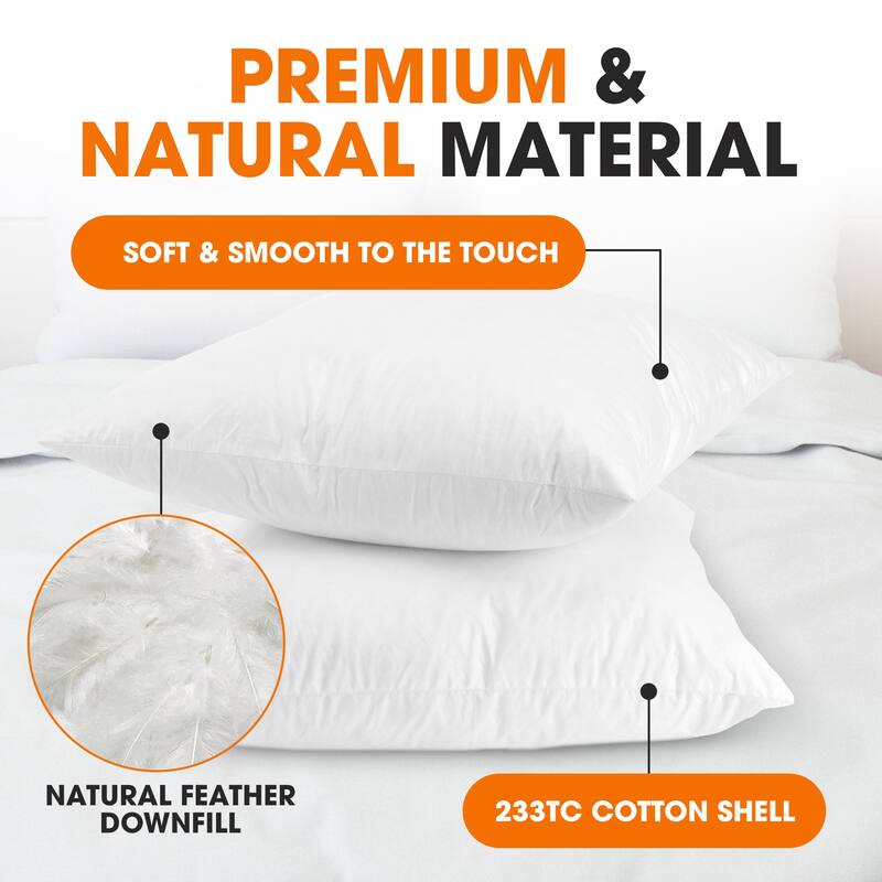 Cheer Collection Feather Down Decorative Square Pillow