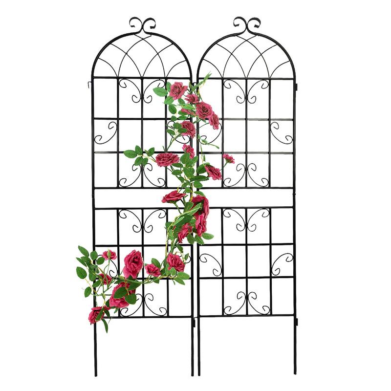 Black 2 Pack Metal Garden Rustproof Trellis for Climbing Plants