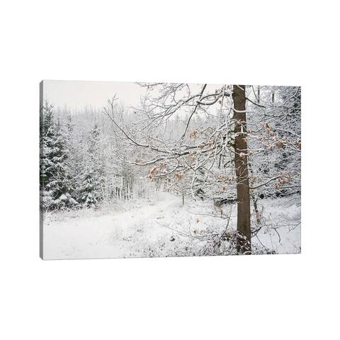 iCanvas "Winter Wood" by Lena Weisbek Canvas Print