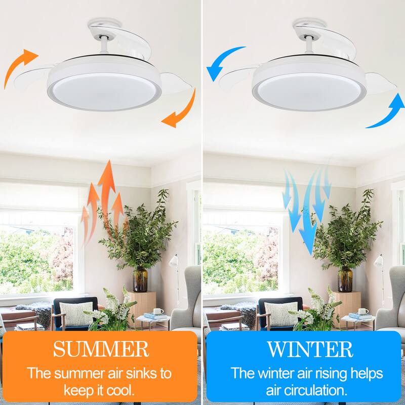 Cusp Barn 42'' Retractable Ceiling Fan with Lights and Remote Control 3-Blade DC Motor 6 Speeds Ceiling Light
