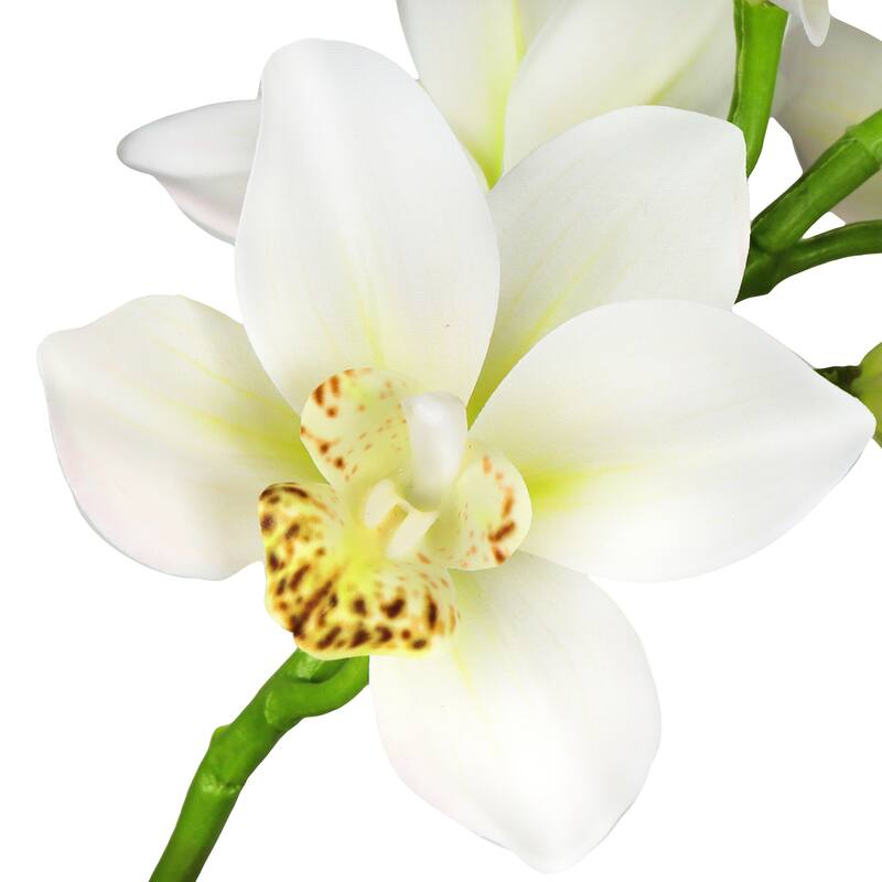 Set of 2 Large Cream Artificial Cymbidium Orchid Flower Stem Spray 31in - 31" L x 7" W x 7" DP