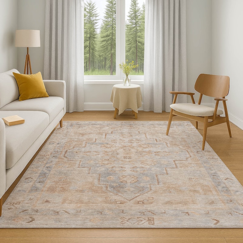 Premium Washable Super Soft Vintage Traditional Mayfield Rug