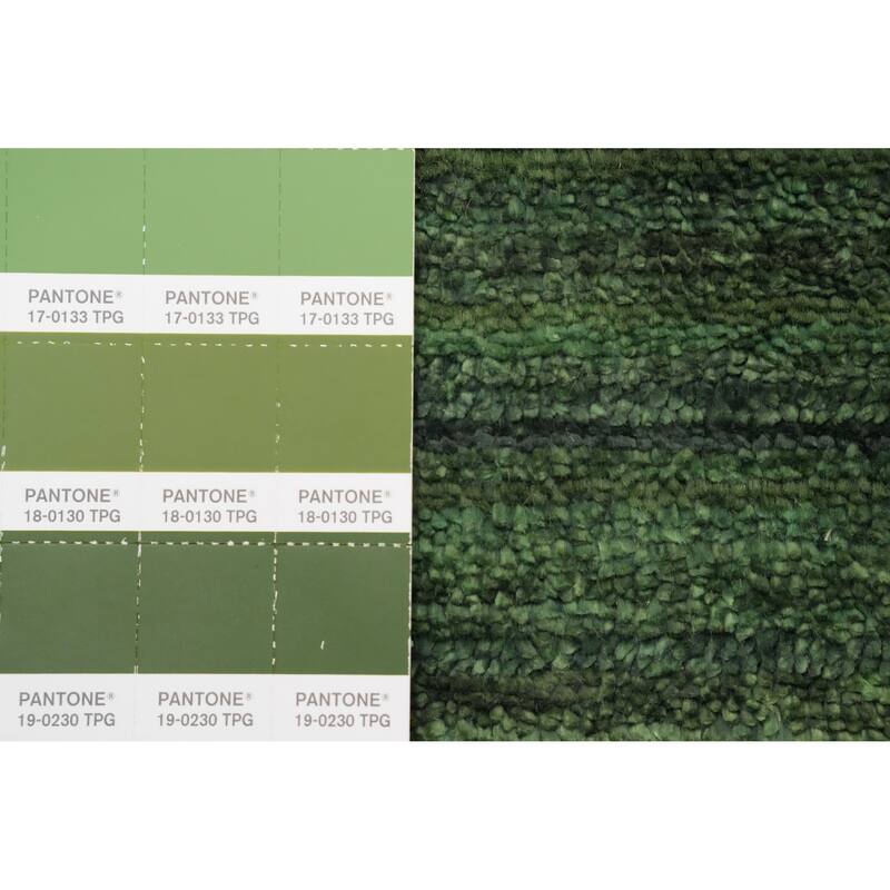 Hand Knotted Oriental Viscose Silk Carpet Tribal Animal Pictorial Green Gabbeh Runner Rug - 7' 5'' X 2' 10''